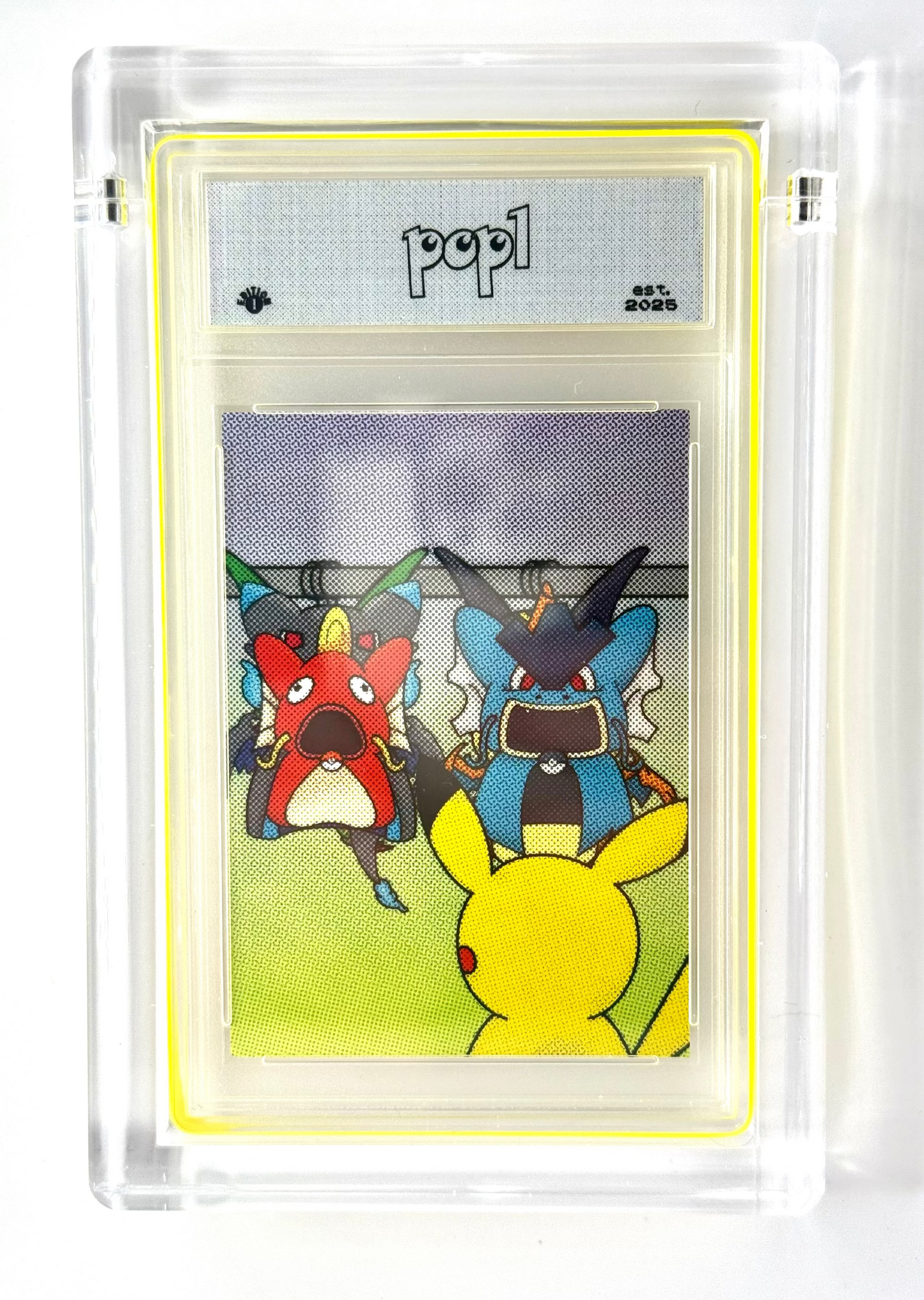 Poncho Closet