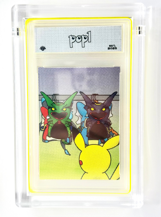 Poncho Closet